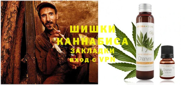 соль ск Вяземский