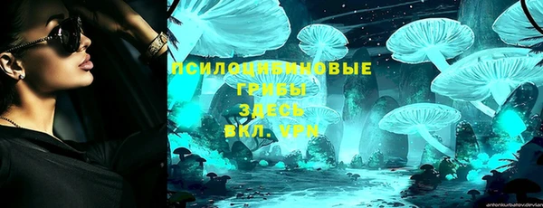 соль ск Вяземский