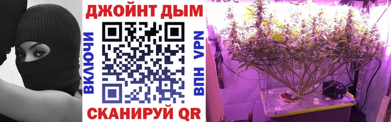 Марихуана гибрид  Чернушка 